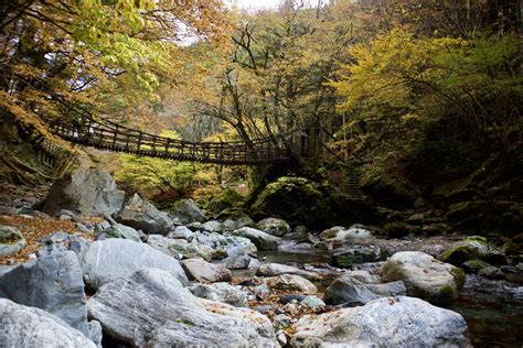 祖屋|奥祖谷二重かずら橋 